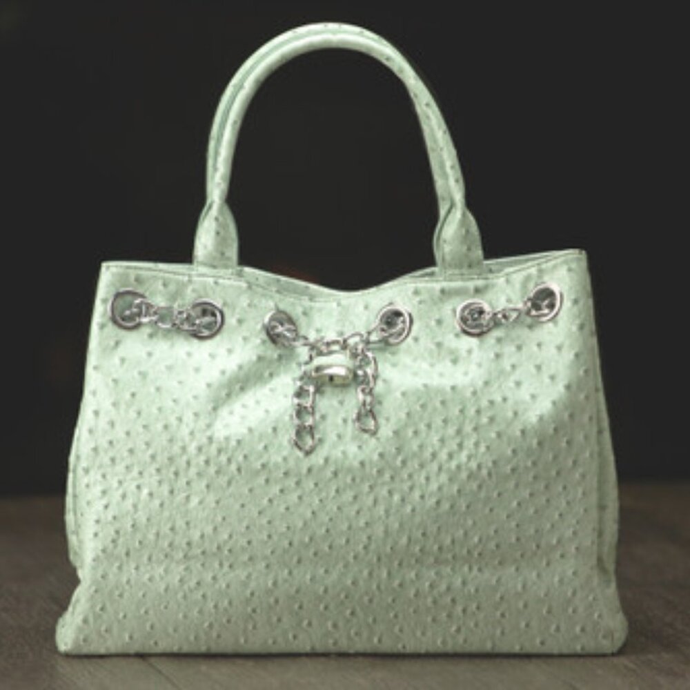Urban Moxy Mint Concealed Carry Handbag